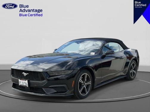 Shadow Black 2025 Ford Mustang EcoBoost