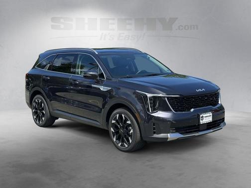 Panthera Metal 2025 Kia Sorento EX