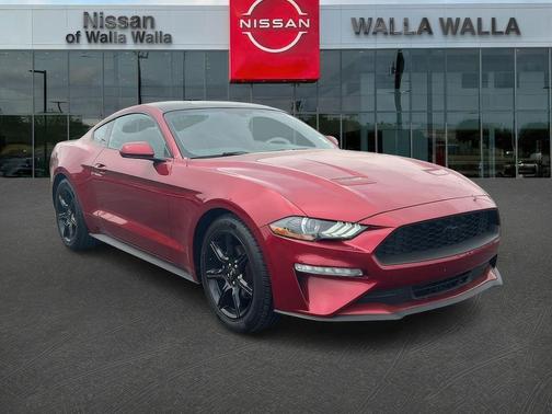 Ruby Red Metallic Tinted Clearcoat 2019 Ford Mustang EcoBoost