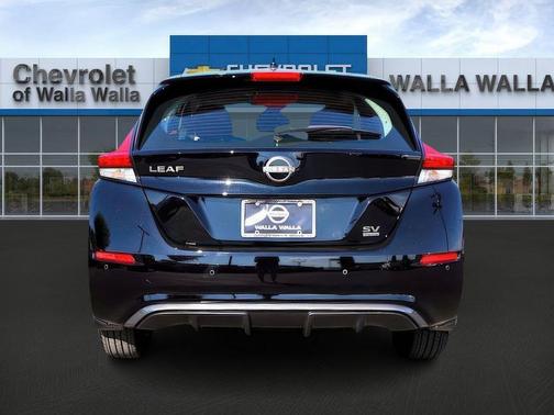 2025 Nissan Leaf SV PLUS