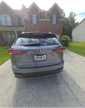 Gray Pearl 2019 Lexus NX 300 300 F Sport