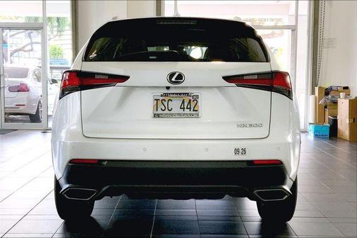 White 2019 Lexus NX 300 Base