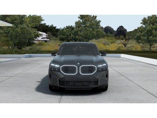 Gray Metallic 2026 BMW XM LABEL