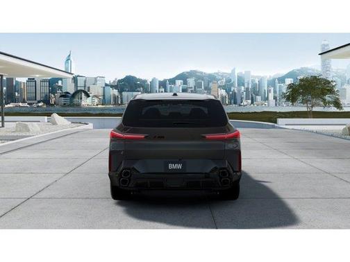 Gray Metallic 2026 BMW XM LABEL