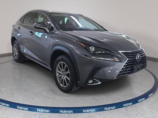Nebula Gray Pearl 2020 Lexus NX 300 Base