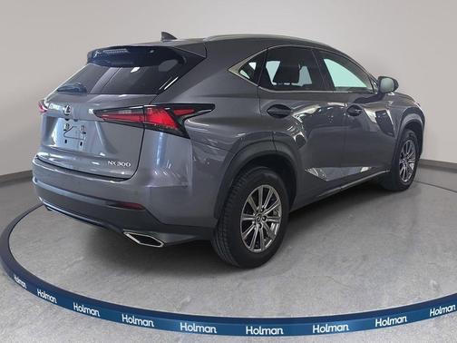 Nebula Gray Pearl 2020 Lexus NX 300 Base