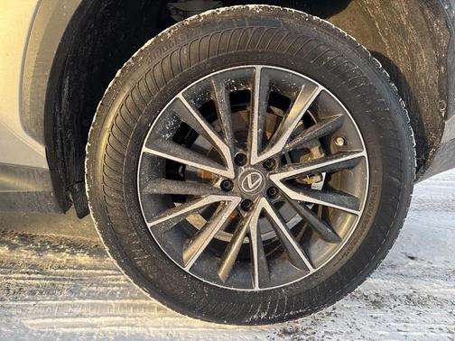 2023 Lexus NX 350 Premium