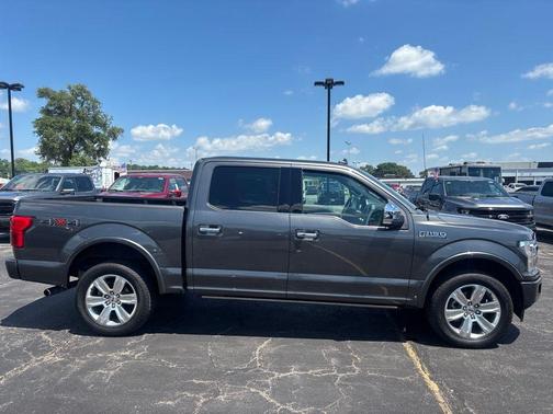 Magnetic Metallic 2019 Ford F-150 Platinum