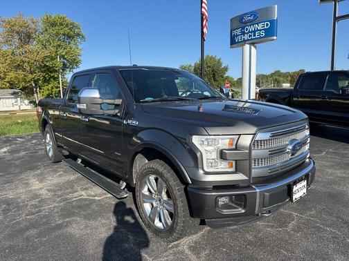 2015 Ford F-150 Platinum