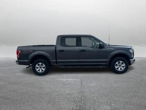Magnetic Metallic 2016 Ford F-150 XLT