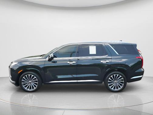 Robust Emerald 2024 Hyundai PALISADE Calligraphy