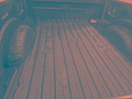 AVALANCHE 2025 Ford F-250