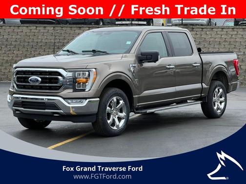 Stone Gray Metallic 2021 Ford F-150 XLT