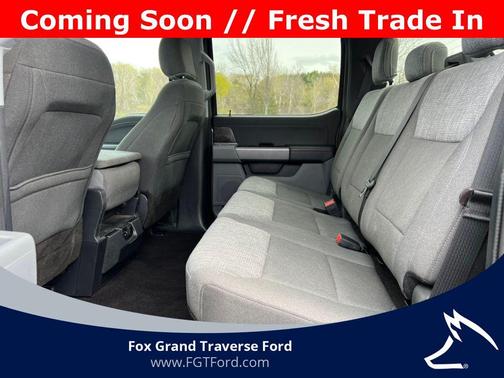 Stone Gray Metallic 2021 Ford F-150 XLT