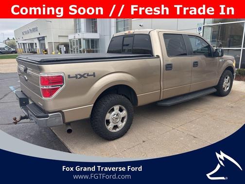 Pale Adobe Metallic 2014 Ford F-150 XLT