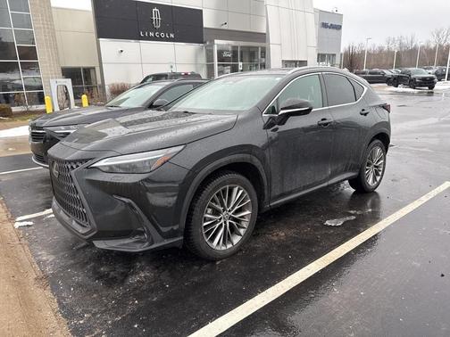 2022 Lexus NX 350h Luxury