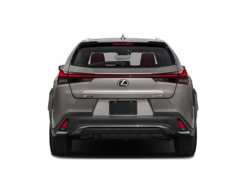 2019 Lexus UX 200 F Sport