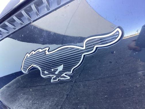 2021 Ford Mustang Mach-E Select