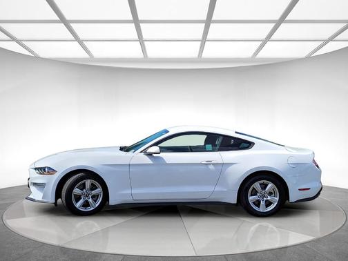 Oxford White 2019 Ford Mustang EcoBoost