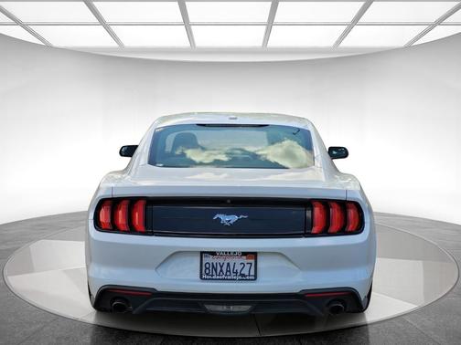 Oxford White 2019 Ford Mustang EcoBoost