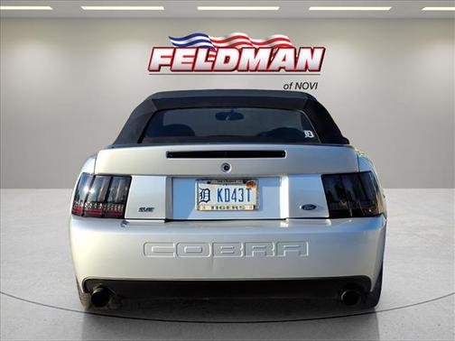 Silver Clearcoat Metallic 2004 Ford Mustang SVT Cobra