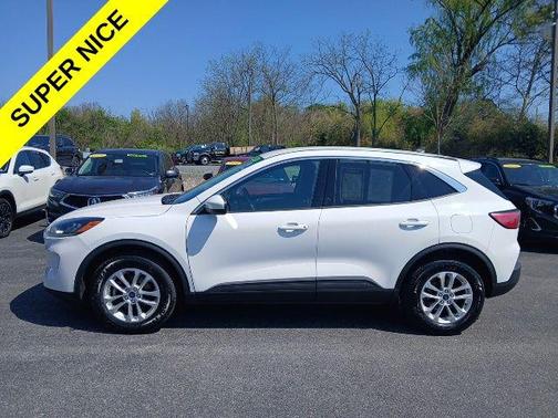 Oxford White 2020 Ford Escape SE