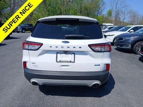 Oxford White 2020 Ford Escape SE