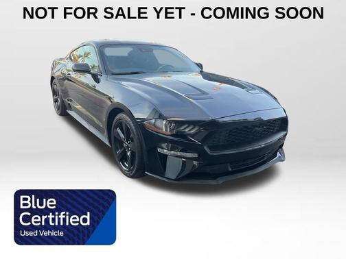 2021 Ford Mustang EcoBoost