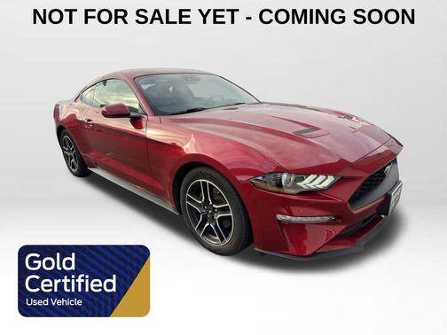 2021 Ford Mustang EcoBoost