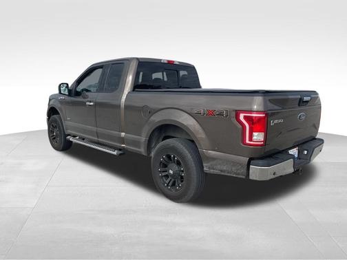 Caribou Metallic 2015 Ford F-150 XLT