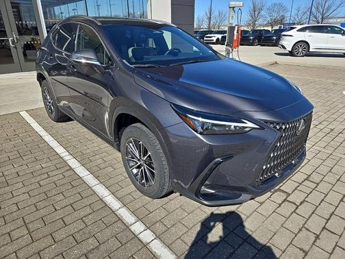 2022 Lexus NX 250 Premium