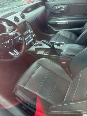 GUARD METALLIC 2015 Ford Mustang EcoBoost Premium