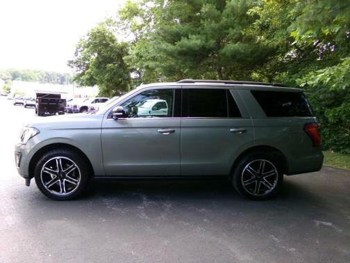 Silver Spruce Metallic 2019 Ford Expedition Limited