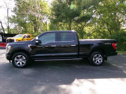 Agate Black Metallic 2021 Ford F-150 Platinum