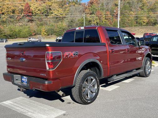 2014 Ford F-150 FX4