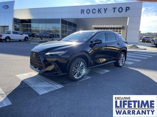 2023 Lexus NX 350 Luxury