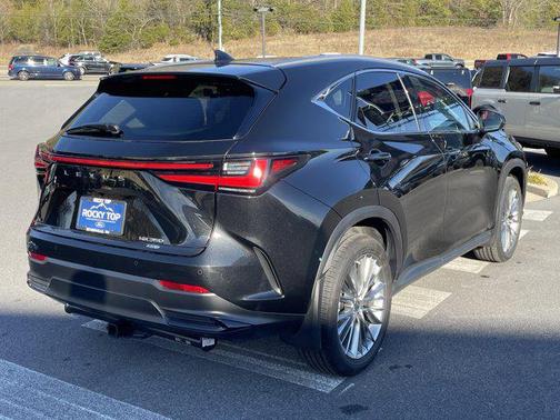 2023 Lexus NX 350 Luxury