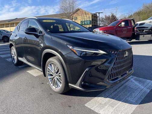 2023 Lexus NX 350 Luxury