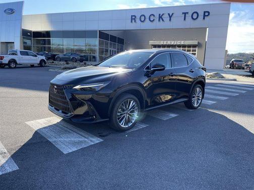 2023 Lexus NX 350 Luxury