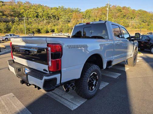 2026 Ford F-350 Platinum