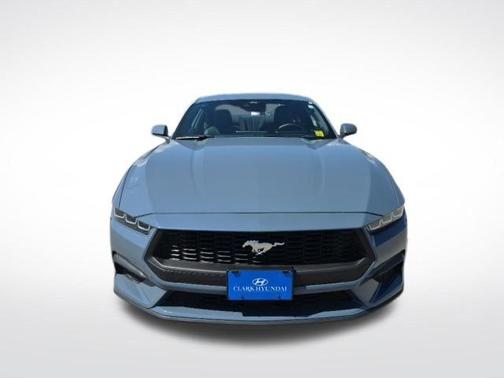 Blue 2024 Ford Mustang EcoBoost