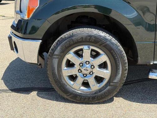 Green 2014 Ford F-150 XLT