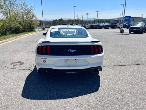 Oxford White 2019 Ford Mustang EcoBoost
