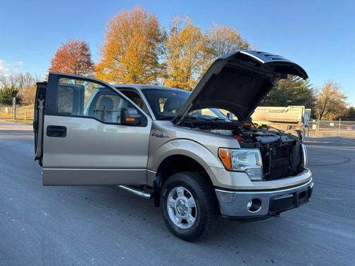 2011 Ford F-150 XLT