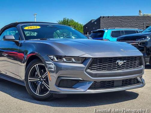 Gray Metallic 2025 Ford Mustang EcoBoost Premium