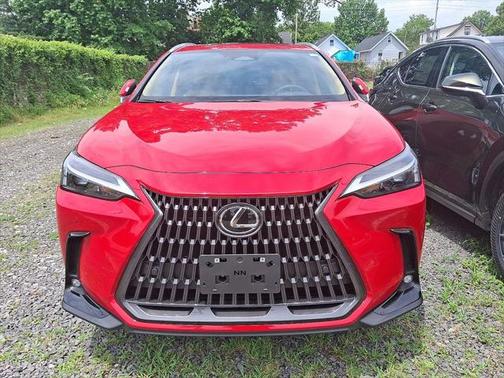 2025 Lexus NX 350h Premium