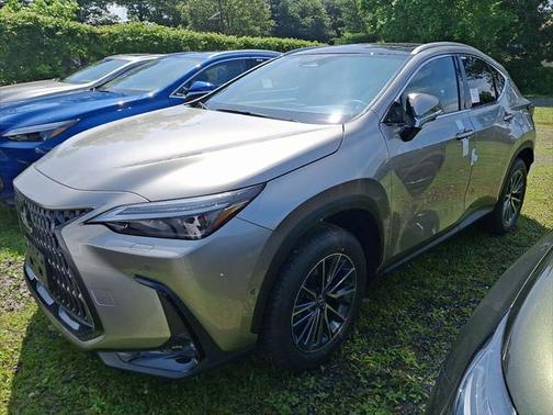 2025 Lexus NX 350h Luxury