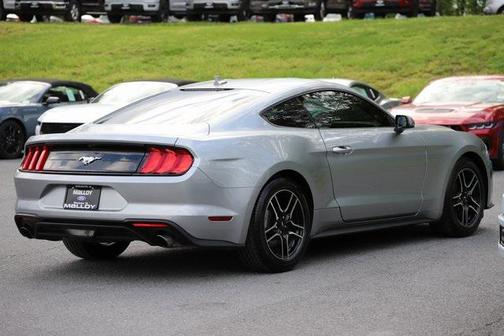 2022 Ford Mustang EcoBoost