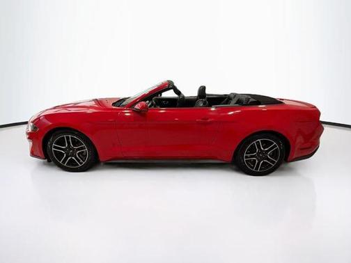 Race Red 2019 Ford Mustang EcoBoost Premium