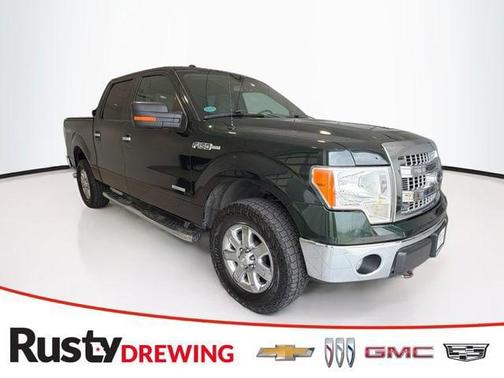 Green Gem 2013 Ford F-150 XL